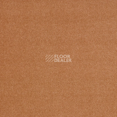 Ковролин AW Sentiment 80 фото 1 | FLOORDEALER